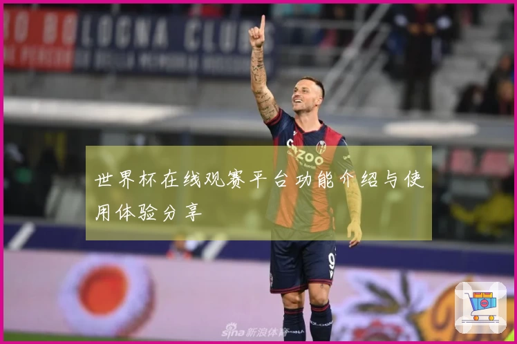 世界杯在线观赛平台功能介绍与使用体验分享
