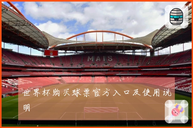 世界杯购买球票官方入口及使用说明