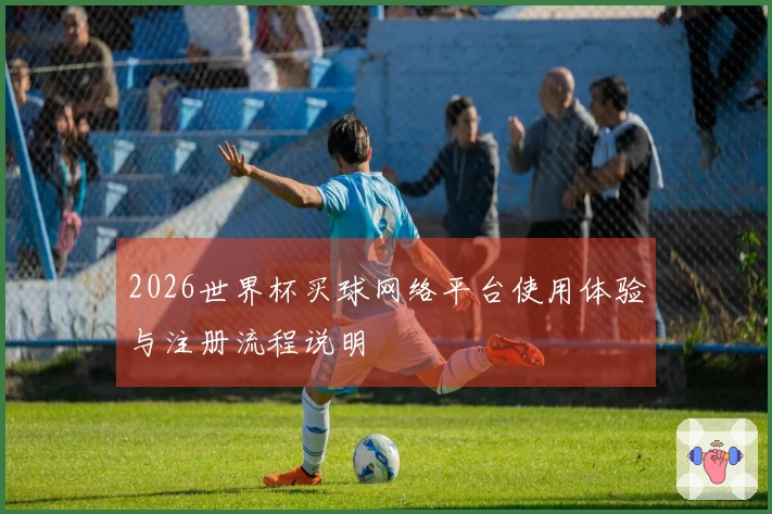 2026世界杯买球网络平台使用体验与注册流程说明