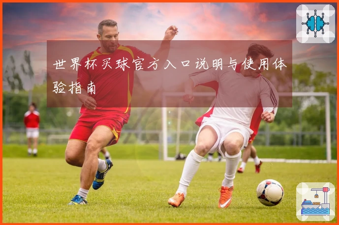 世界杯买球官方入口说明与使用体验指南