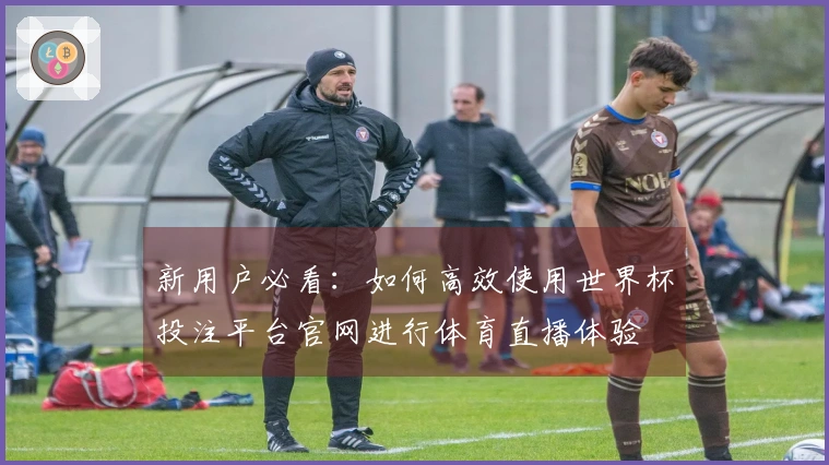 新用户必看：如何高效使用世界杯投注平台官网进行体育直播体验