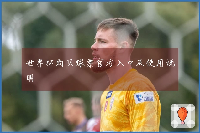 世界杯购买球票官方入口及使用说明