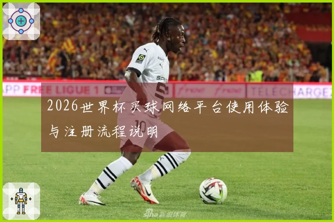 2026世界杯买球网络平台使用体验与注册流程说明