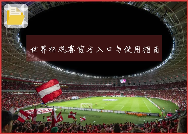 世界杯观赛官方入口与使用指南