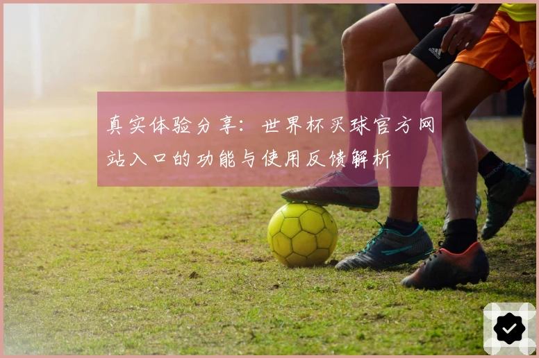 真实体验分享：世界杯买球官方网站入口的功能与使用反馈解析