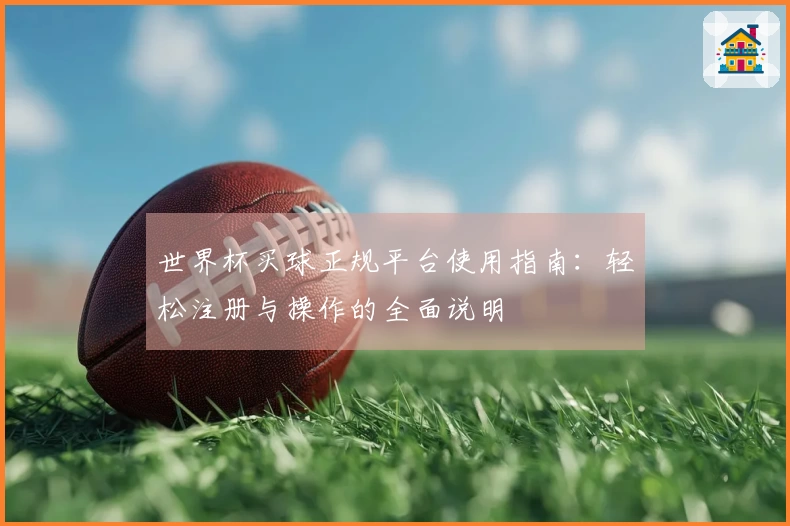 世界杯买球正规平台使用指南：轻松注册与操作的全面说明