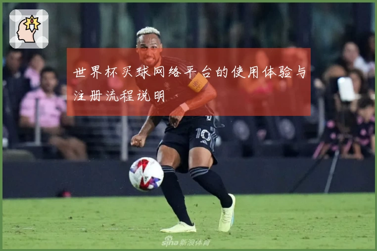 世界杯买球网络平台的使用体验与注册流程说明