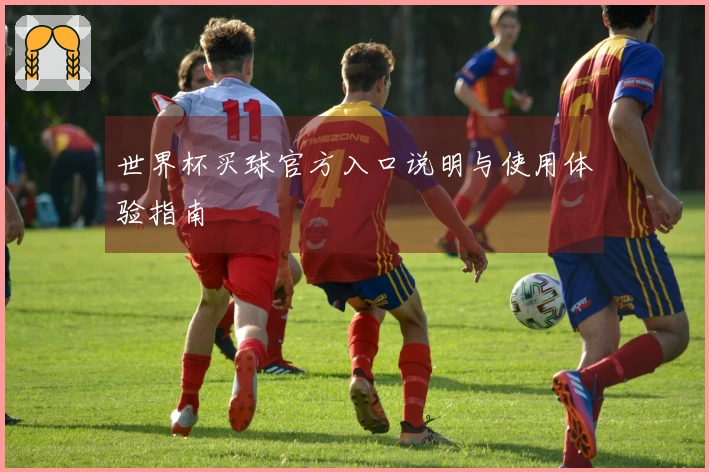 世界杯买球官方入口说明与使用体验指南