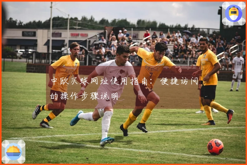 中欧买球网址使用指南：便捷访问的操作步骤说明