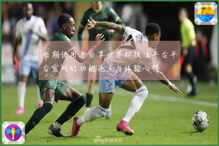长期使用者分享世界杯投注平台平台官网的功能亮点与体验心得